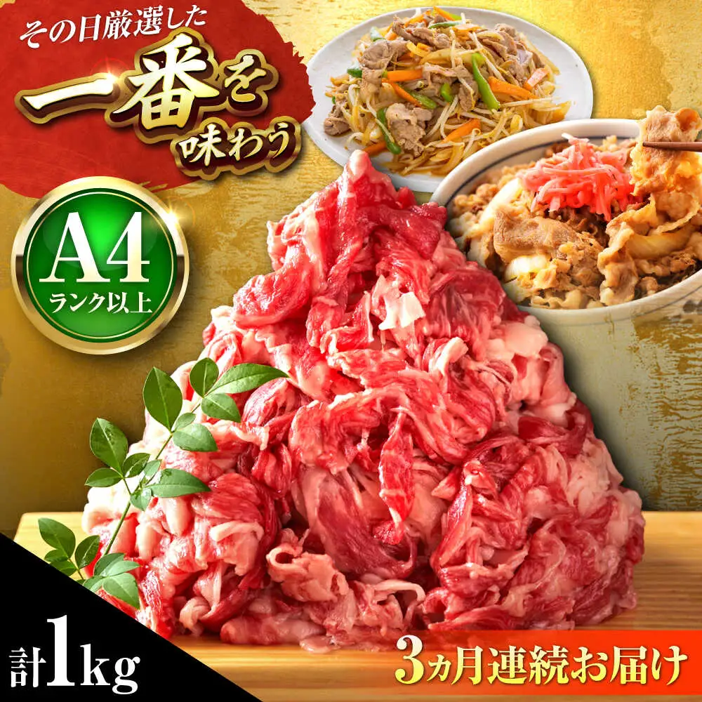 【全3回定期便】【A4-A5】博多和牛 切り落とし 1kg(500g×2P)[BGAB101]大容量 切り落とし