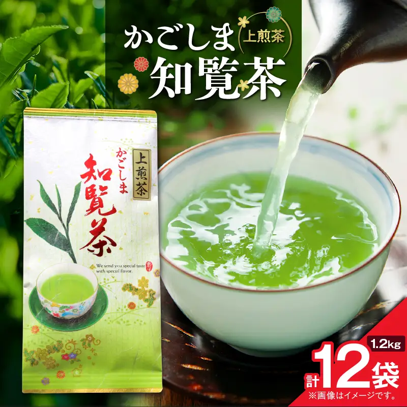 かごしま知覧茶 （ 100g × 12袋 ） K346-001_06