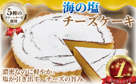 【海の塩 ベイクドチーズケーキ】 16cm /  チーズケーキ