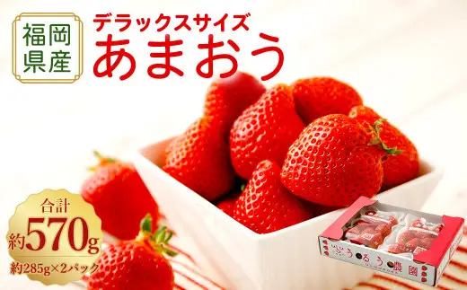 【アフター保証】うるう農園 あまおう DX等級 2パック （約570g）【2027年2月上旬～2027年4月上旬発送予定】 いちご イチゴ 苺 フルーツ 果物