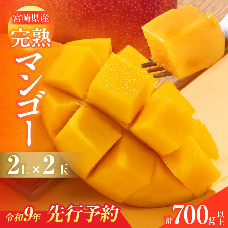 先行予約 宮崎県産 完熟マンゴー 2L×2玉 計700g以上 フルーツ スイーツ 果物_CA101-26