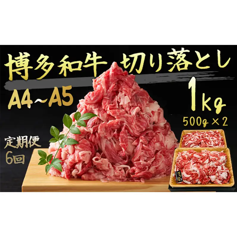 定期便 6ヶ月 牛肉 A4～A5 切り落とし 合計1000g 博多和牛（500g×2p）肩ロース 赤身 バラ カルビ 小分け 大好評につき継続！6回 配送不可：離島