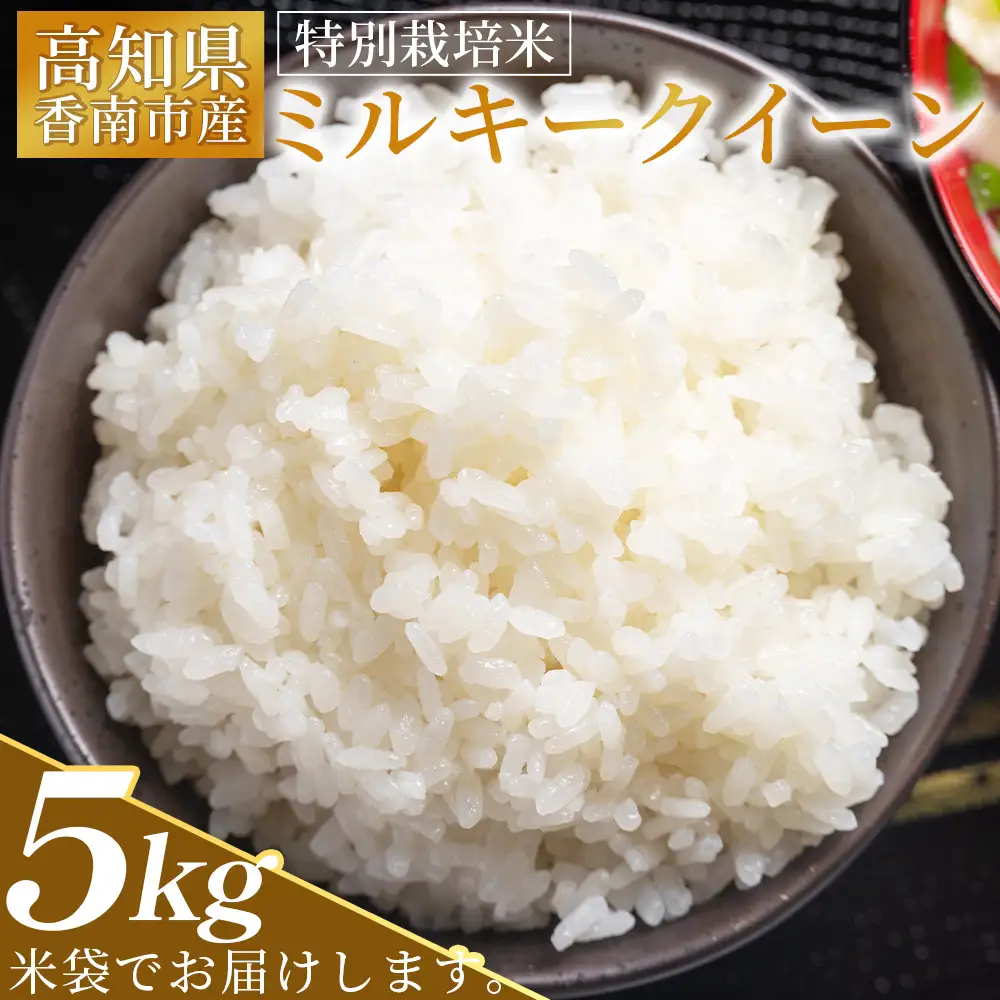 【令和8年8月下旬発送】特別栽培米 ミルキークイーン ５ｋｇ ミルキークイーン sr-0002
