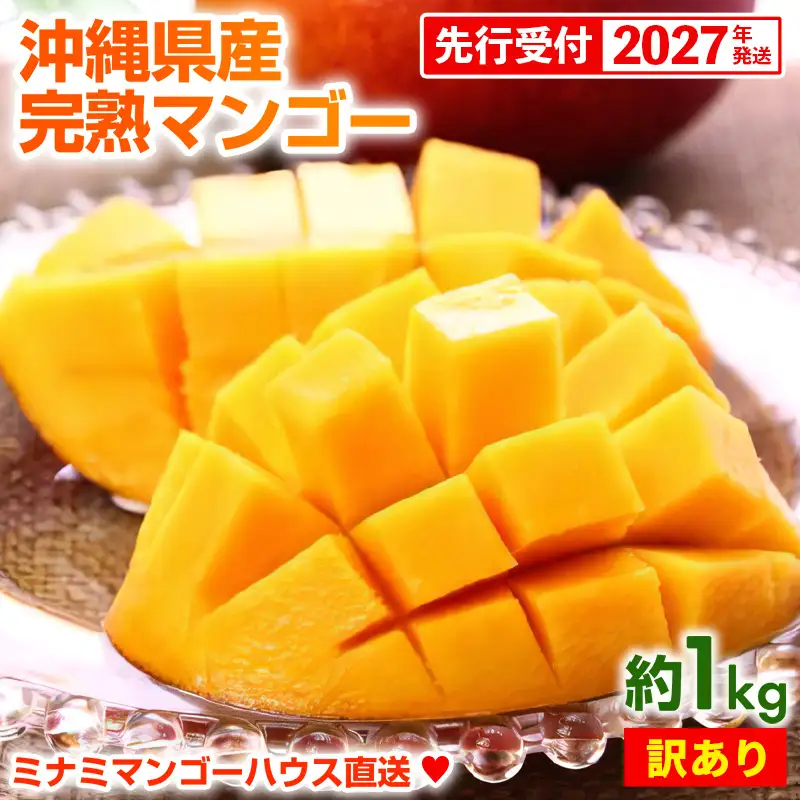 【先行受付】【2027年発送】ミナミマンゴーハウスの完熟アップルマンゴー 訳あり 約1kg - 家庭用 先行予約 沖縄県産 産地直送 南国フルーツ 旬の味覚 季節の果物 ご自宅用 訳アリ 沖縄マンゴー 沖縄県 八重瀬町