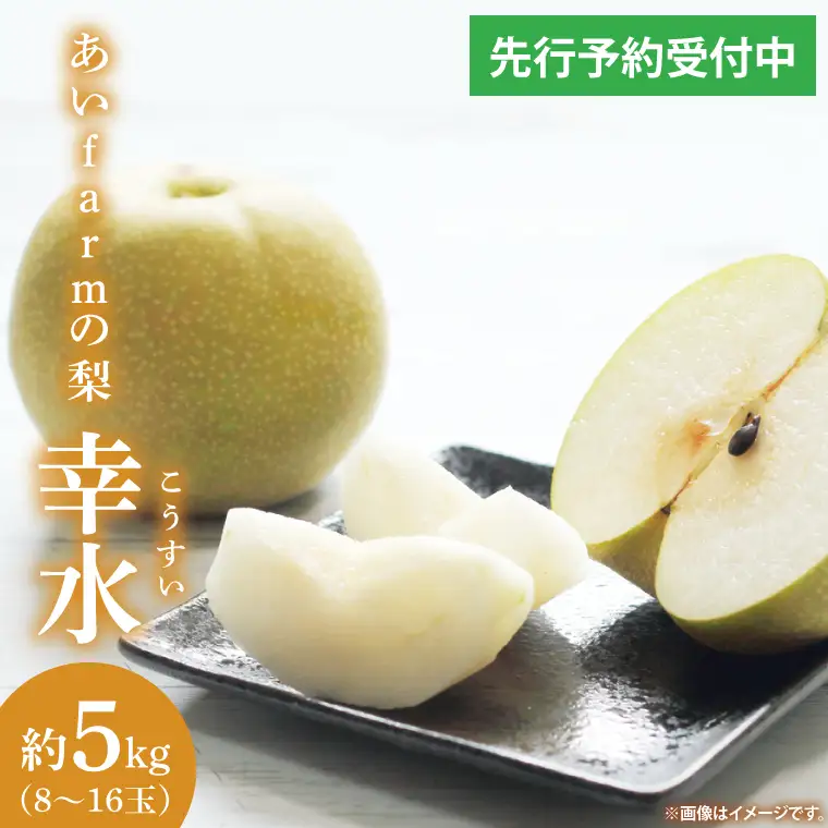 【先行予約】あい farm の梨 幸水 5kg (8～14玉)(DQ001)