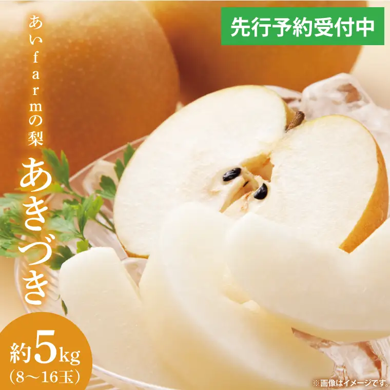 【先行予約】あい farm の梨 あきづき 5kg (7～14玉)  (DQ003)