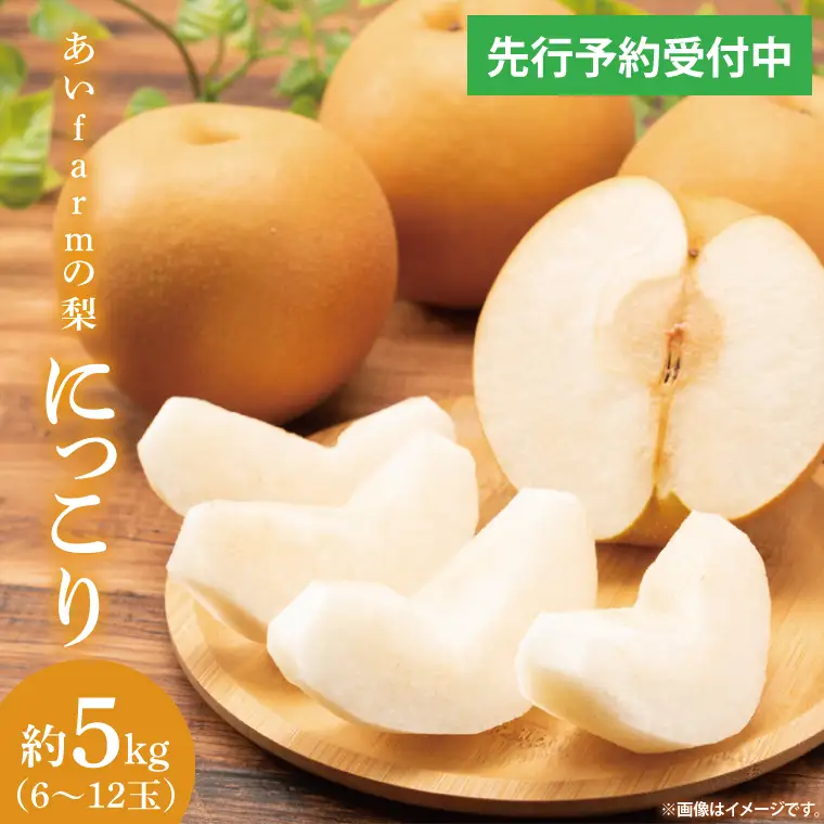 【先行予約】あい farm の梨 にっこり 5kg (4～9玉)(DQ004)