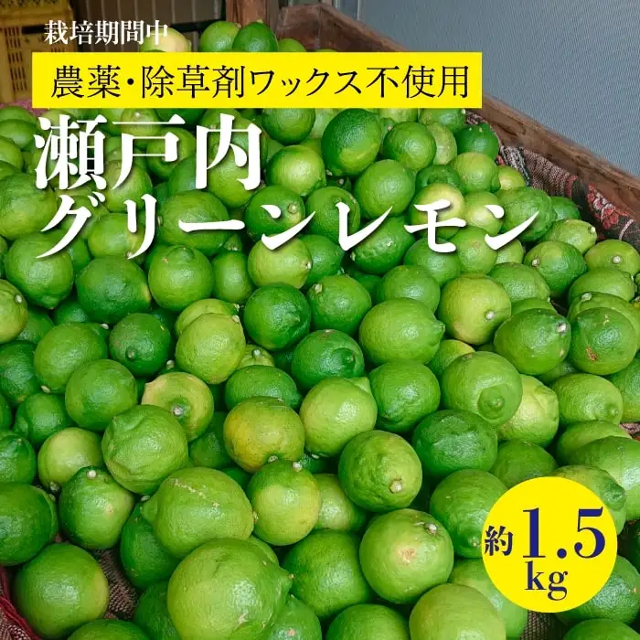 レモン【先行受付】【2026年10月以降発送】【栽培期間中 農薬・除草剤不使用】離島 佐木島！グリーンレモン 約1.5kg   広島 三原 佐木島 鷺島みかんじま 017060
