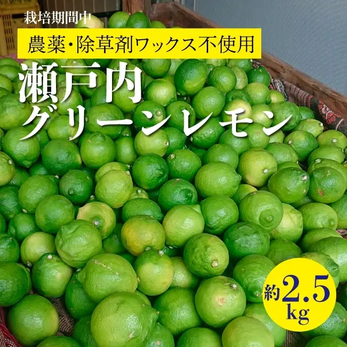 レモン 【先行受付】【2026年10月以降発送】【栽培期間中 農薬・除草剤不使用】離島 佐木島！グリーンレモン 約2.5kg   広島 三原 佐木島 鷺島みかんじま 017061