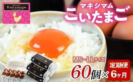 【TVで話題沸騰！】6か月定期便！とにかく黄身が濃いたまご「マキシマムこいたまご」60個入り 伊達市 福島県 国産 MS～LLサイズ 卵 たまご 玉子 生卵 鶏卵 F21C-496