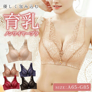 ノンワイヤー育乳ブラ [173N45]