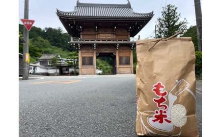 【令和7年産】先行予約 農家直送！うまいもち米3㎏（精米） NE-03