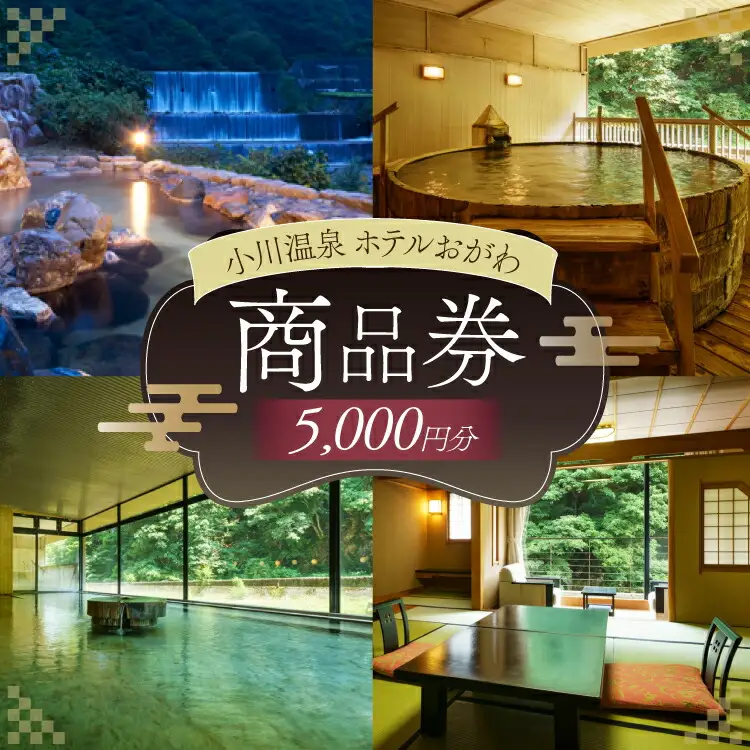 商品券 小川温泉 ホテルおがわ 1000円 5枚 計 5000円