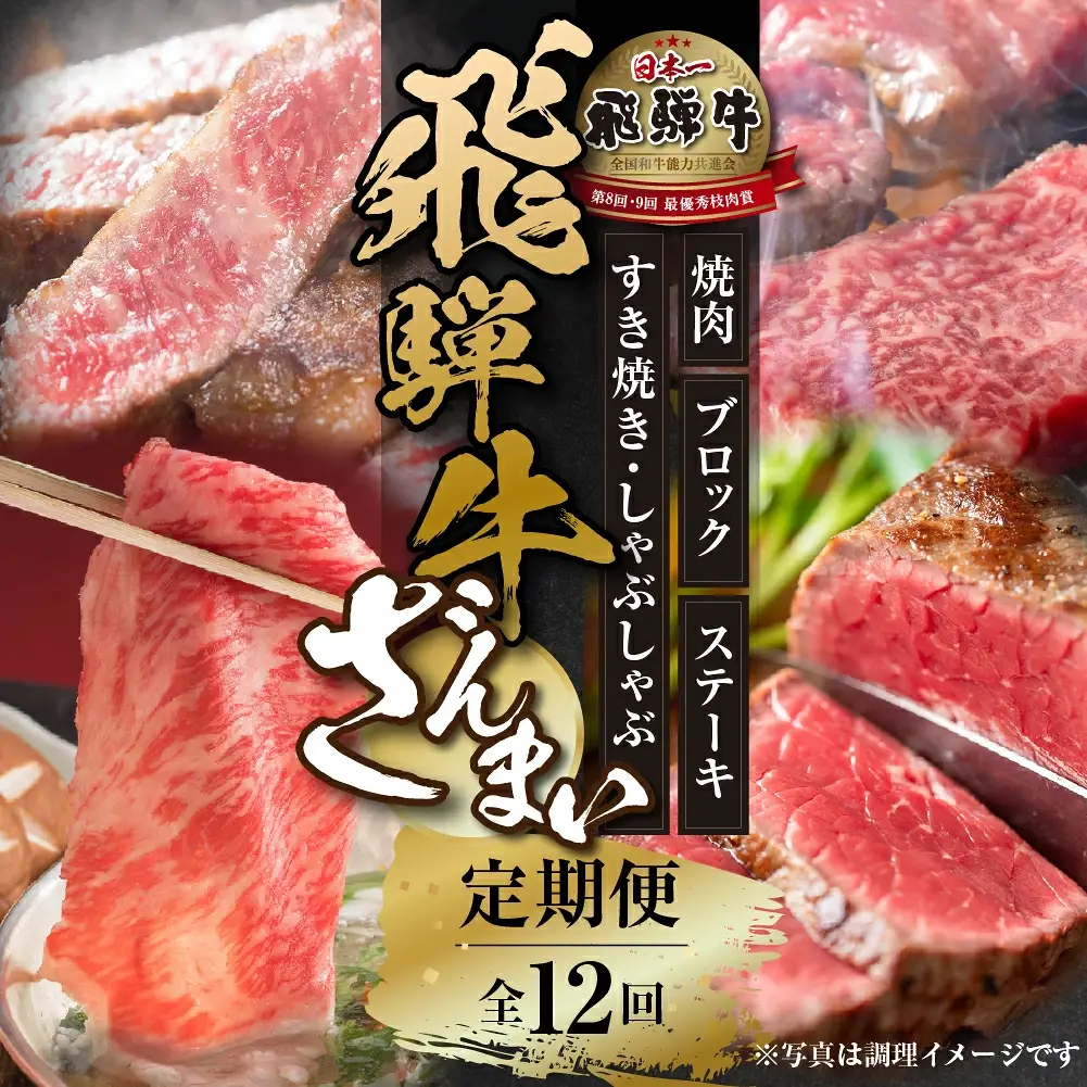 《定期便》全12回 飛騨牛 ざんまい 飛騨高山ミート 飛騨牛 [MZ106]