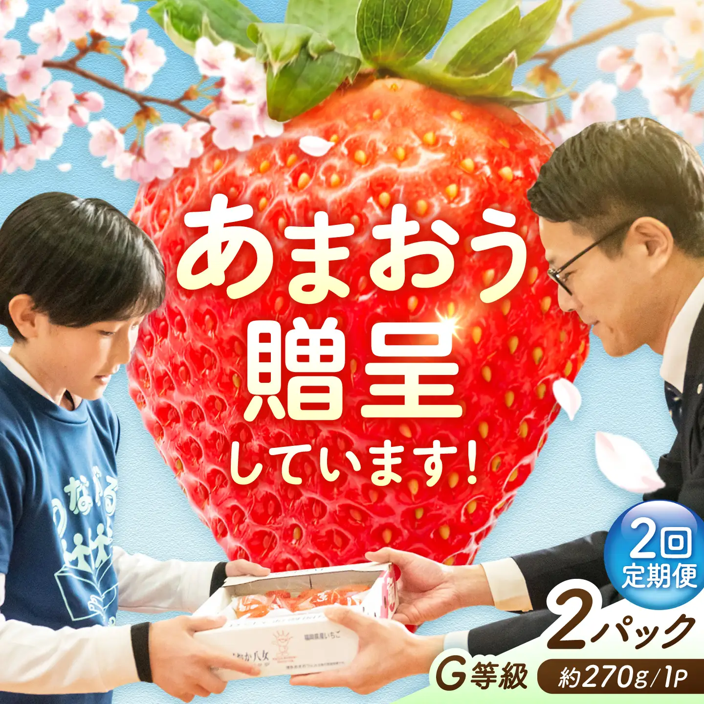 【2回定期便】いちご（あまおう）G等級 1ケース / あまおう[AFAB083]