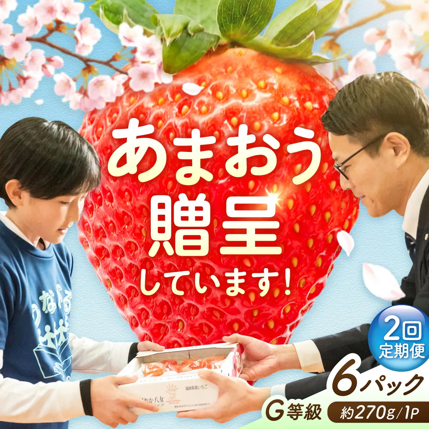 【2回定期便】いちご（あまおう）G等級 3ケース（270g×6P） / いちご 苺 イチゴ[AFAB085]