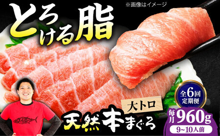 【全6回定期便】たね熟天然本まぐろ大トロ(960g)[AOCE029]マグロ