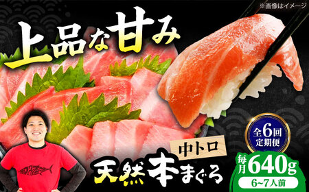 【全6回定期便】たね熟天然本まぐろ中トロ(640g) [AOCE035] まぐろ