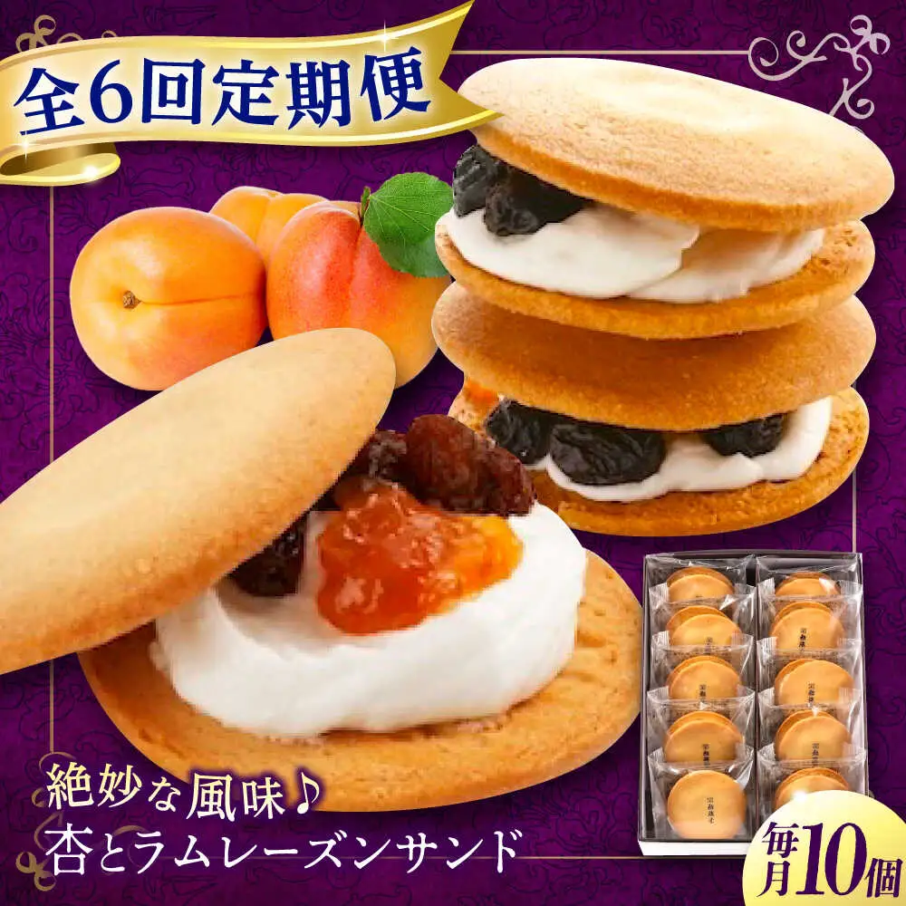 【全6回定期便】 お菓子 杏とラムレーズンサンド 10個入り[BAFL016]お菓子