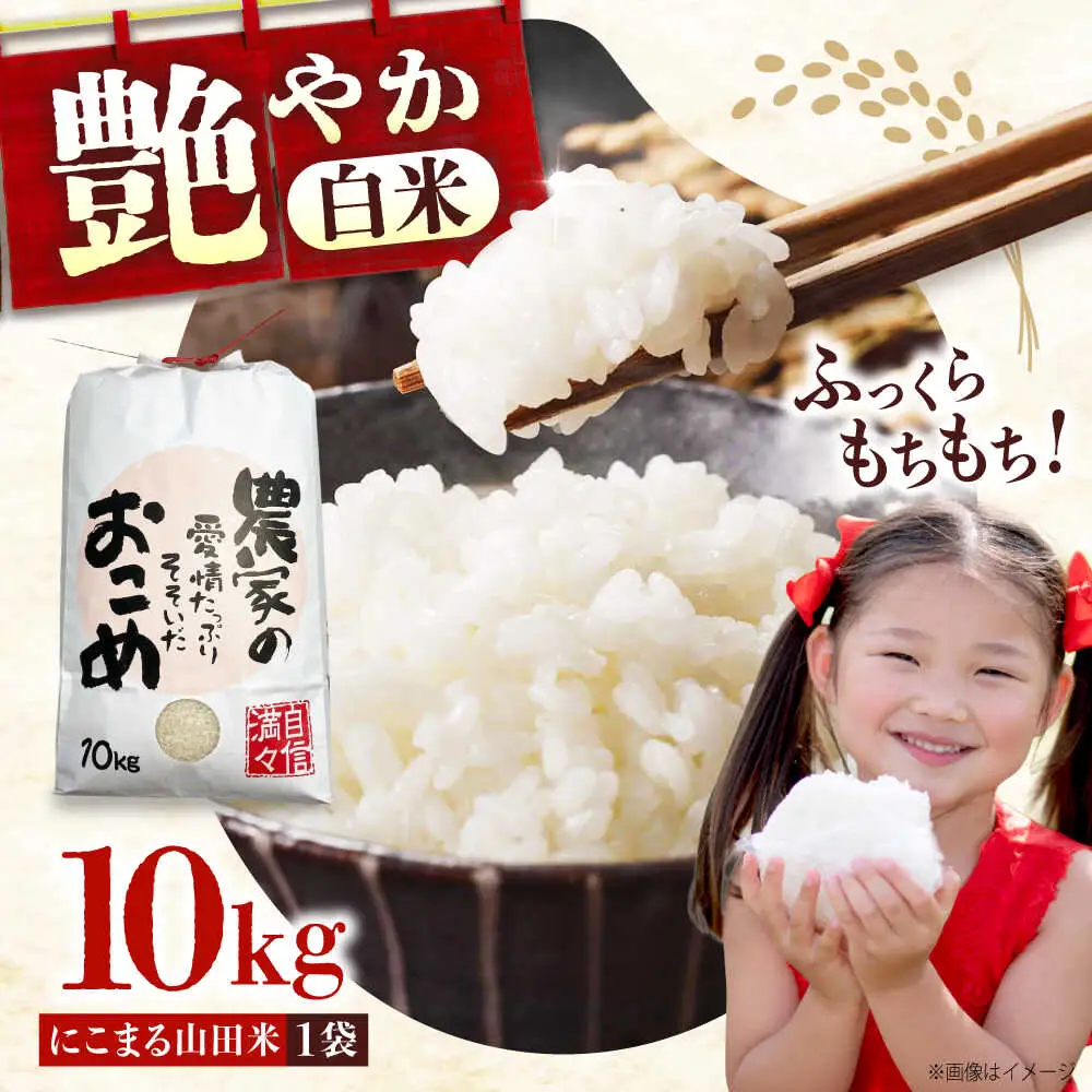 米 令和7年産 にこまる10kg [BAFU001] 米