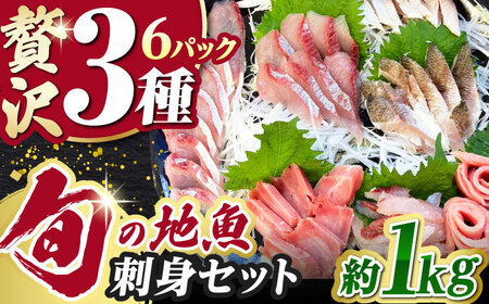 【小分けで便利！】 対馬 旬の刺身セット 1kg（85g×12パック）  刺身 海鮮丼[WAK022]