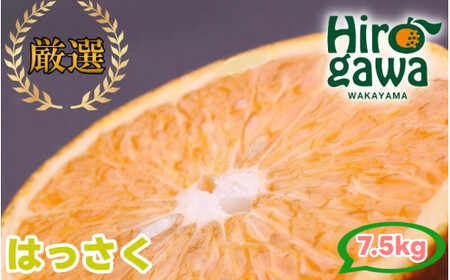 はっさく 7.5kg+250g（痛み補償分） 厳選 光センサー / 八朔 高級 甘い 和歌山 有田 柑橘 ※1月上旬〜4月下旬頃に順次発送予定 ※北海道・沖縄・離島への配送不可 【ikd021-p-7d5C】