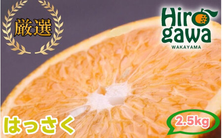 はっさく 2.5kg+250g（痛み補償分） 厳選 光センサー / 八朔 高級 甘い 和歌山 有田 柑橘 ※1月上旬〜4月下旬頃に順次発送予定 ※北海道・沖縄・離島への配送不可 【ikd021-p-2d5D】
