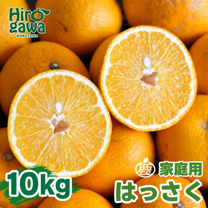 はっさく 10kg+250g（痛み補償分） 家庭用 光センサー / 八朔 訳あり 甘い 和歌山 有田 柑橘 ※1月上旬〜4月下旬頃に順次発送予定 ※北海道・沖縄・離島への配送不可 【ikd021-c-10B】
