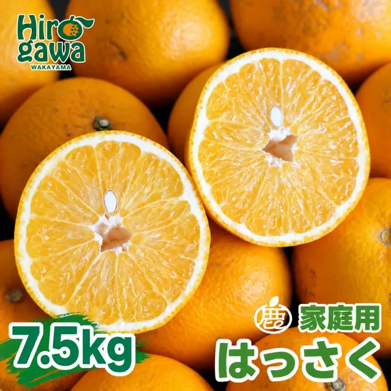 はっさく 7.5kg+250g（痛み補償分） 家庭用 光センサー / 八朔 訳あり 甘い 和歌山 有田 柑橘 ※1月上旬〜4月下旬頃に順次発送予定 ※北海道・沖縄・離島への配送不可 【ikd021-c-7d5B】