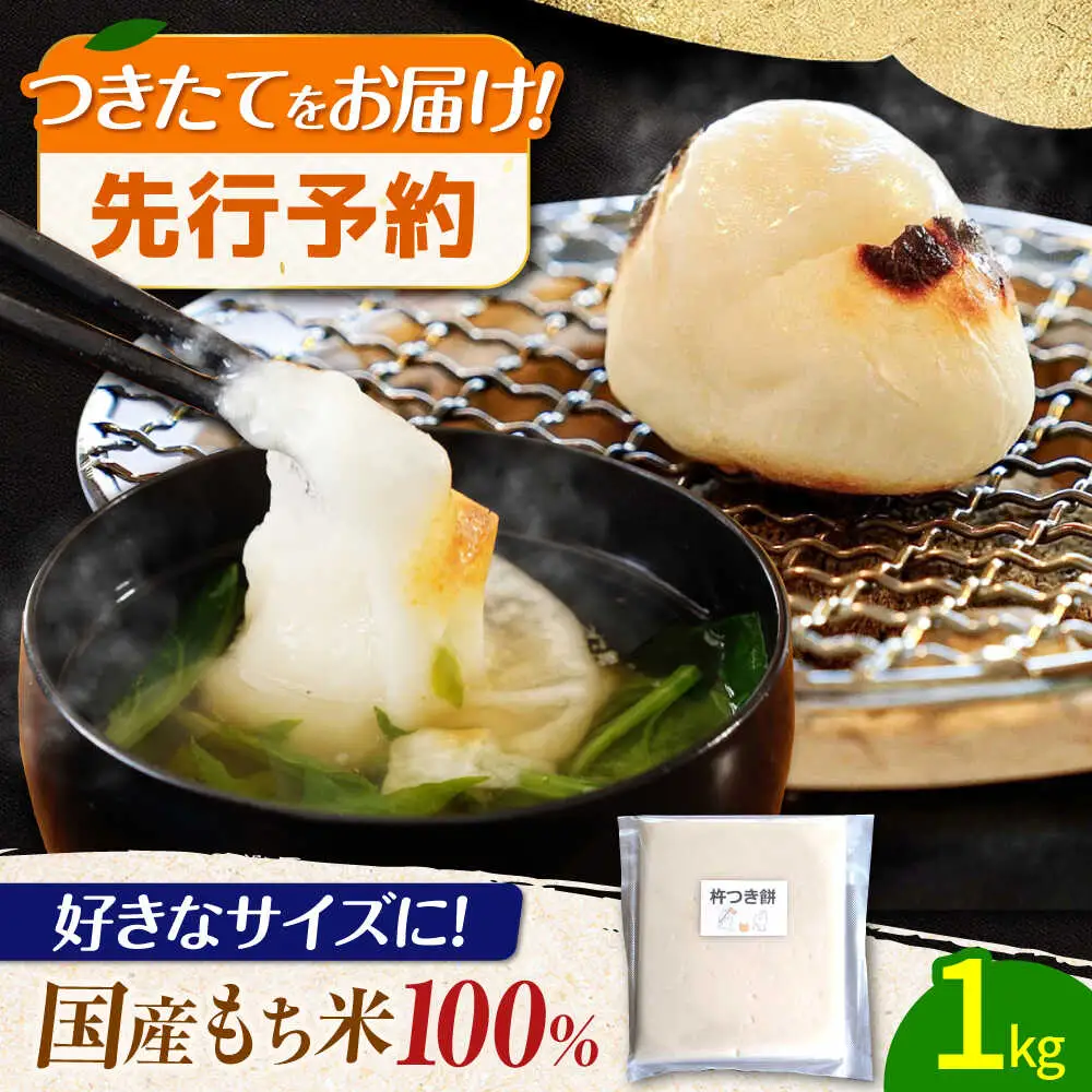 【12月中旬より発送】 みたけ のし餅 5合（約1kg）/餅 お餅 のしもち/御嵩町/株式会社アオキ[AVBN002]