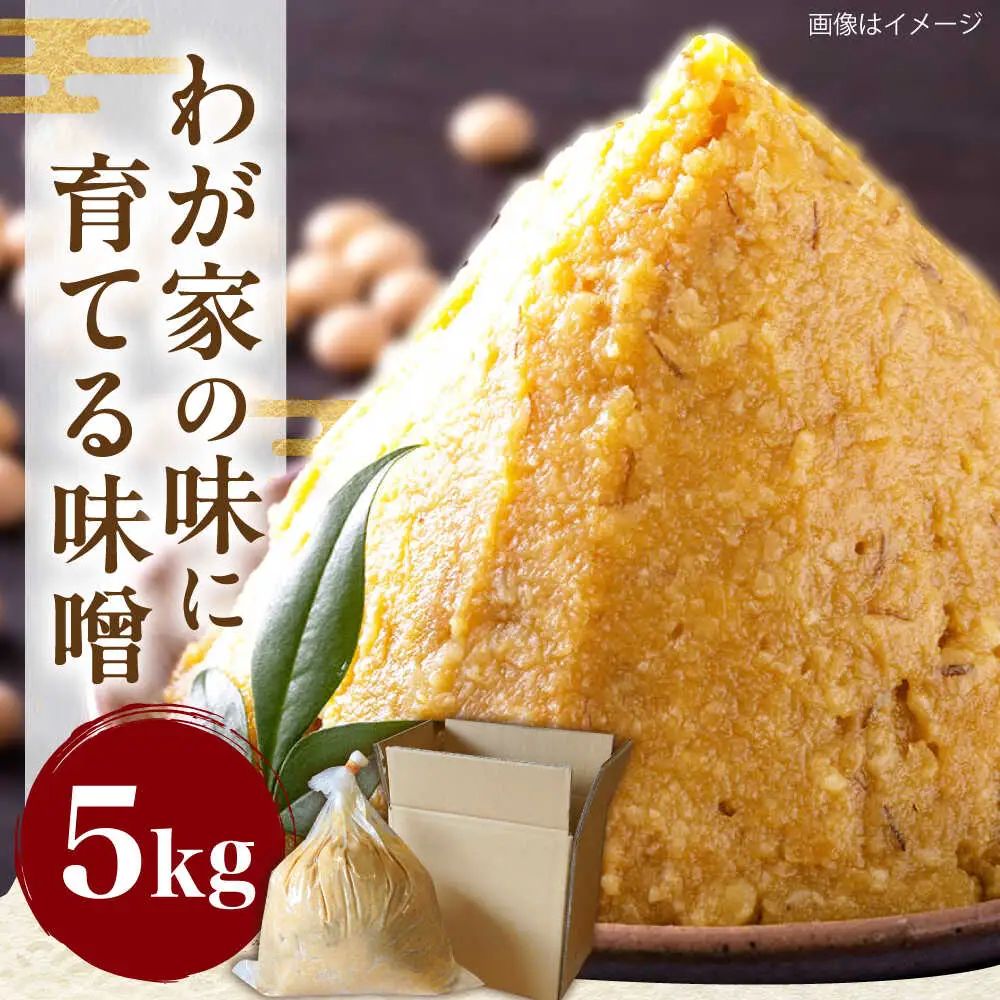 育てる味噌キット 5kg VAV019 みそ 米味噌 キット