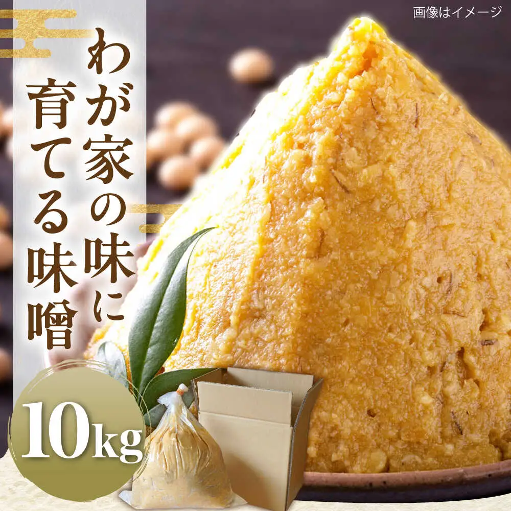 育てる味噌 10kg [VAV020] みそ 米味噌 キット