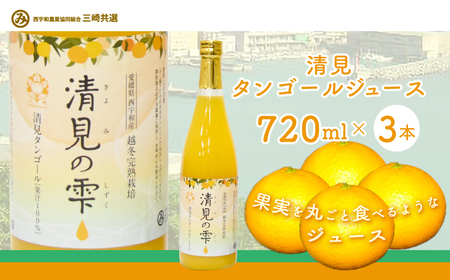 【先行予約】清見タンゴールジュース （720ml×3本）※離島への配送不可（2027年6月上旬より順次発送予定）IKTBD001