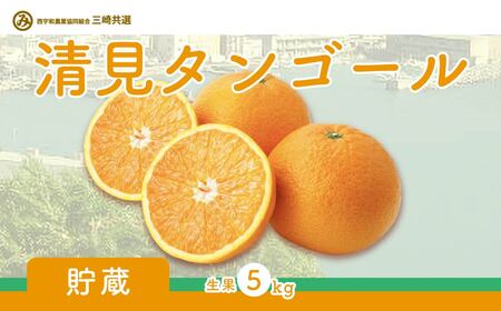 【先行予約】清見タンゴール（貯蔵・生果5kg）※離島への配送不可（2027年5月上旬～5月中旬頃より順次発送予定）  IKTBD007