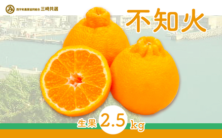 【先行予約】不知火（生果2.5kg）※離島への配送不可（2027年2月上旬～2月下旬頃に順次発送予定） IKTBD010