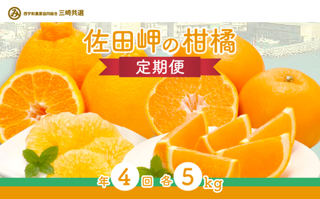 【定期便】2026年度 佐田岬の柑橘定期便（年4回）柑橘 定期 各5kg 愛媛県産（12月、2月、4月、6月発送）※離島への配送不可 IKTBD018