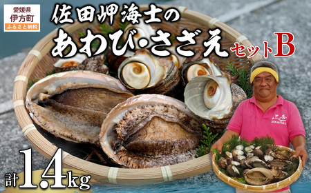 【数量限定】佐田岬海士のあわび・さざえセットB ※北海道・東北地方・沖縄・離島への配送不可 IKTJ002