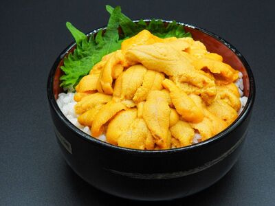 【先行予約】【数量/期間限定】三崎の赤ウニ（塩水パック） 約80g ※北海道・東北地方・沖縄・離島への配送不可（2026年8月上旬より順次発送） IKTJ017