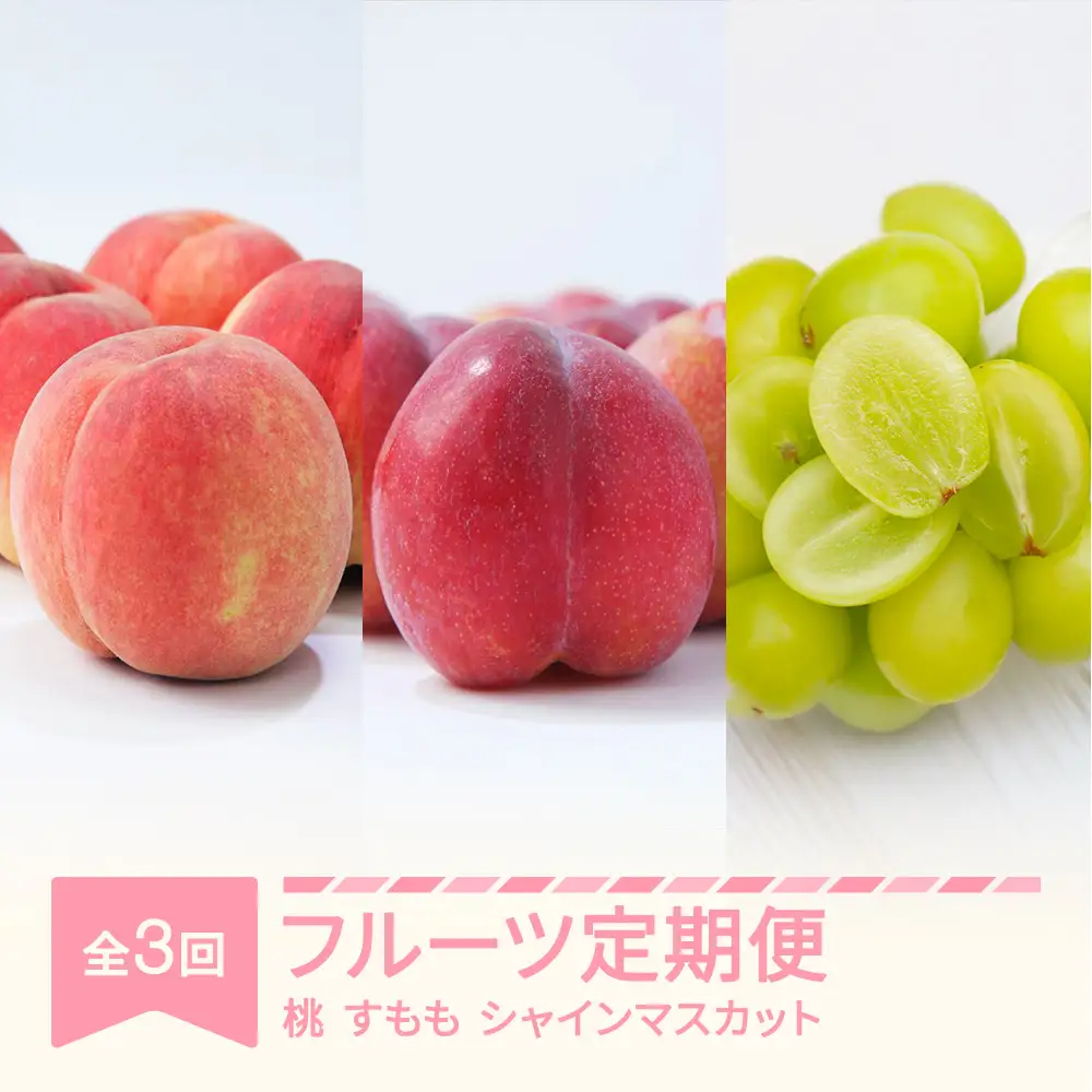 フルーツ定期便 全3回 2026年産 sb-fthps3