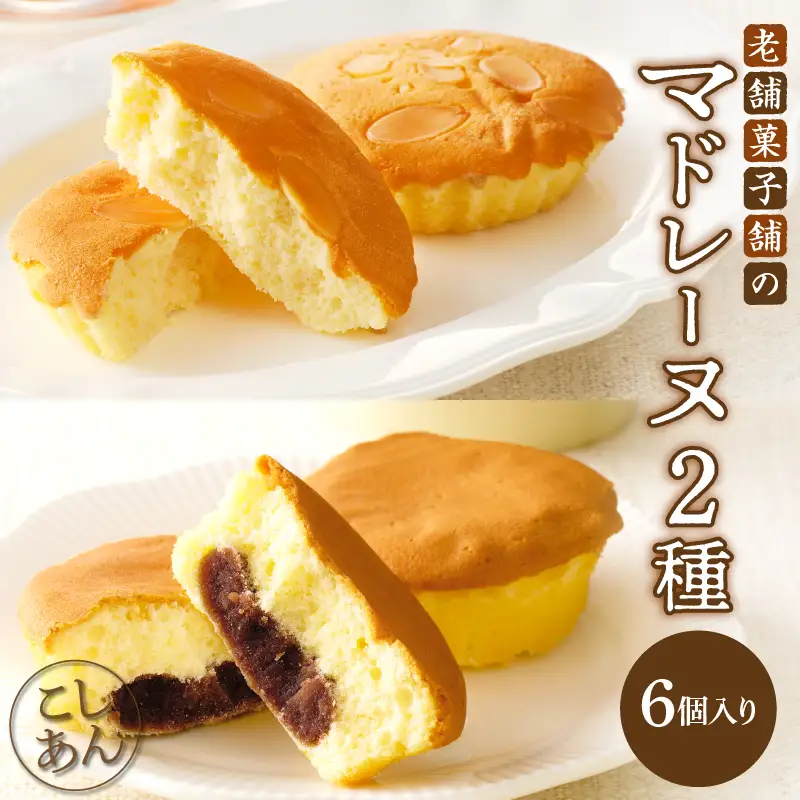 【2週間以内発送】老舗菓子舗のマドレーヌ2種セット「合計6個・個包装」 焼き菓子 スイーツ 詰め合わせ 洋菓子_T035-0206