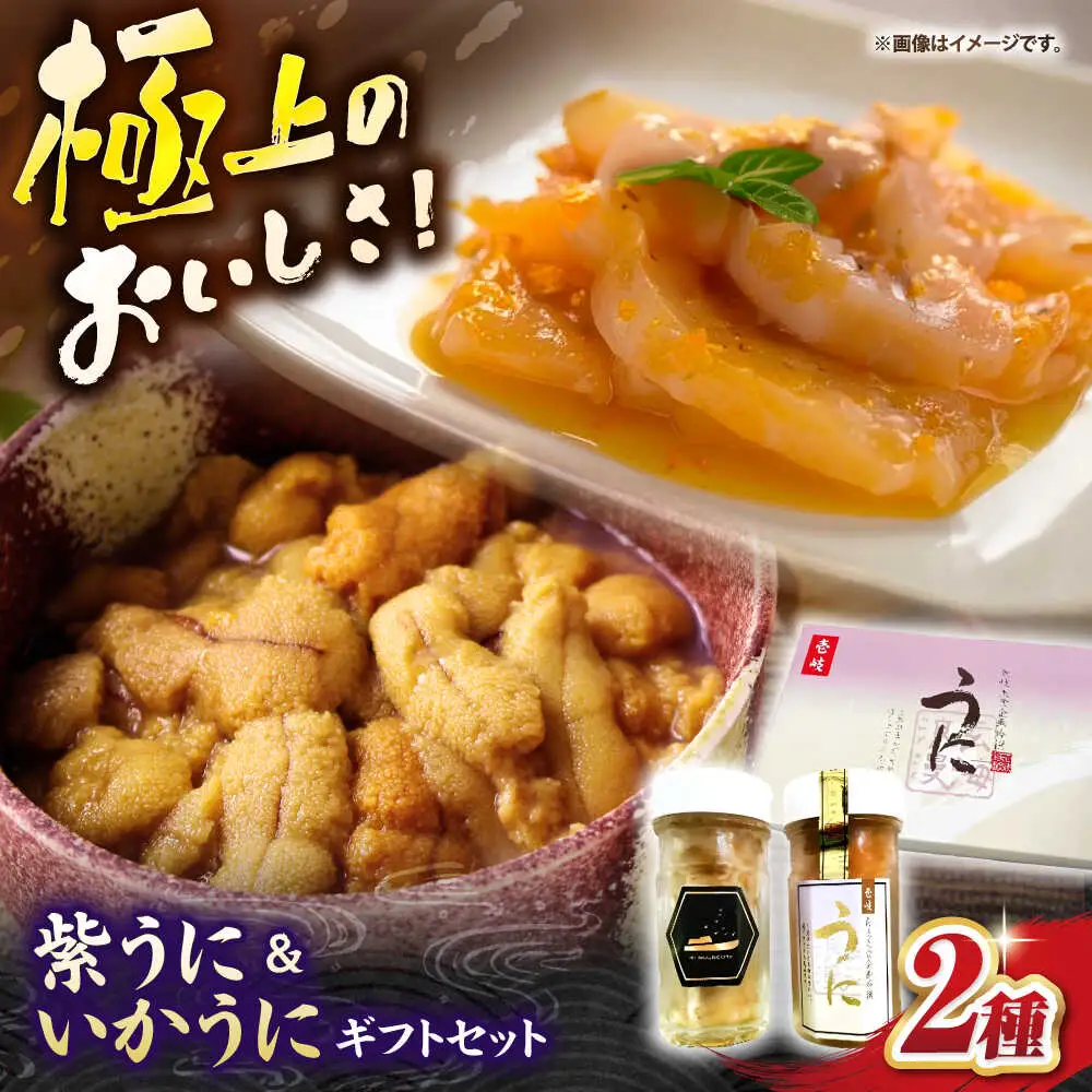 紫うに＆いかうにギフトセット《壱岐市》【壱岐市農業協同組合】ウニ 雲丹 うに 紫ウニ 紫雲丹 紫うに いかうに 希少 冷凍配送[JBO154]