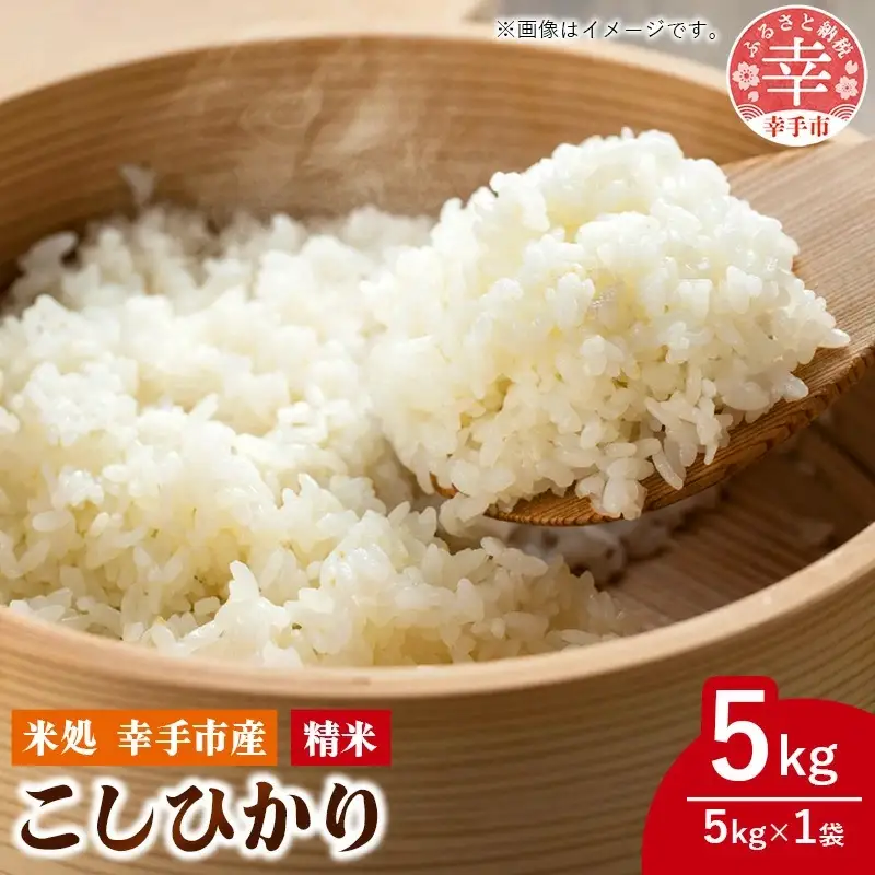 令和7年幸手産 こしひかり【精米】5㎏×1袋 - コシヒカリ 精米 5kg 令和7年産 埼玉県 幸手市 幸手市産