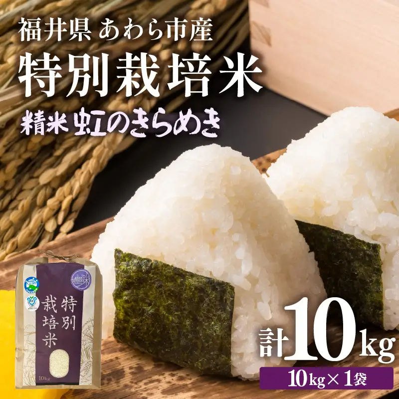 【令和7年産】化学肥料不使用 特別栽培米 虹のきらめき 精米 10kg × 1袋 / 白米 米 福井県あわら市産 美味しい 特別栽培米 減農薬 安心な米 旨味 甘み もっちり 冷蔵保管米 [aw010-a061]