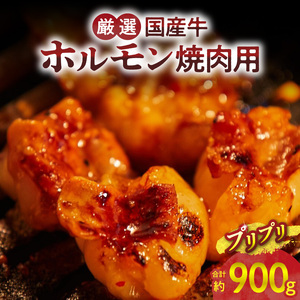 【食肉総合卸 丸正】厳選国産牛ホルモン焼肉用 [153M04]