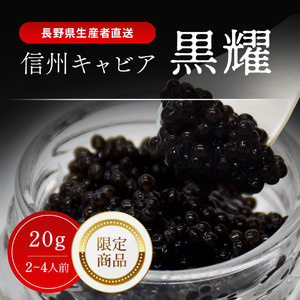 キャビア 黒耀 信州 黒曜石スプーン付 化粧箱入り キャビア【20g】【冷凍】