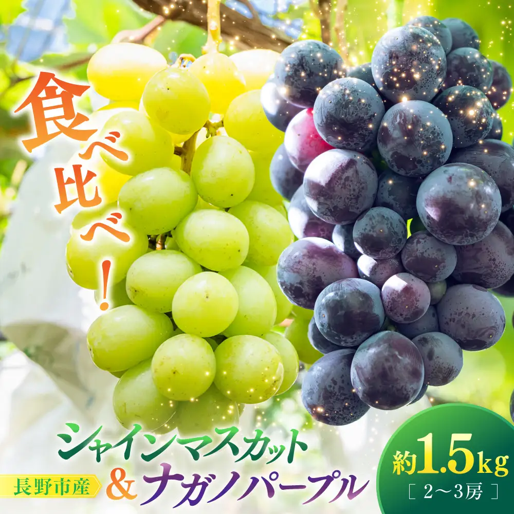 【セット】シャインマスカット＆ナガノパープル 1.5kg 2-3房 |シャインマスカット ぶどう フルーツ