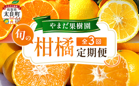 【3回定期便】やまだ果樹園の柑橘定期便　みかん ミカン 蜜柑 たらみかん 太良みかん 柑橘 国産 フルーツ 果物 くだもの 果実 ビタミン豊富 爽やか 甘い 濃厚 贈答品 贈り物 定期便 定期 佐賀県 太良町 Q63x1 【2026年12月上旬-2027年3月上旬発送予定】