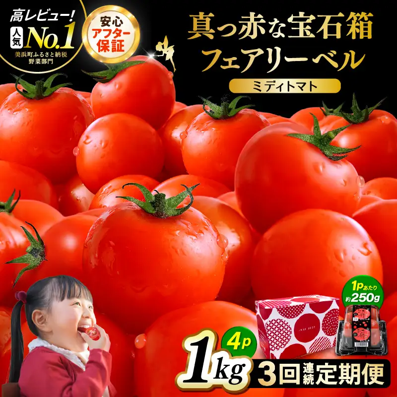 定期便 ≪3ヶ月連続お届け≫ フルーツミディトマト 約1kg × 3回 トマト 野菜 [m37-a027]