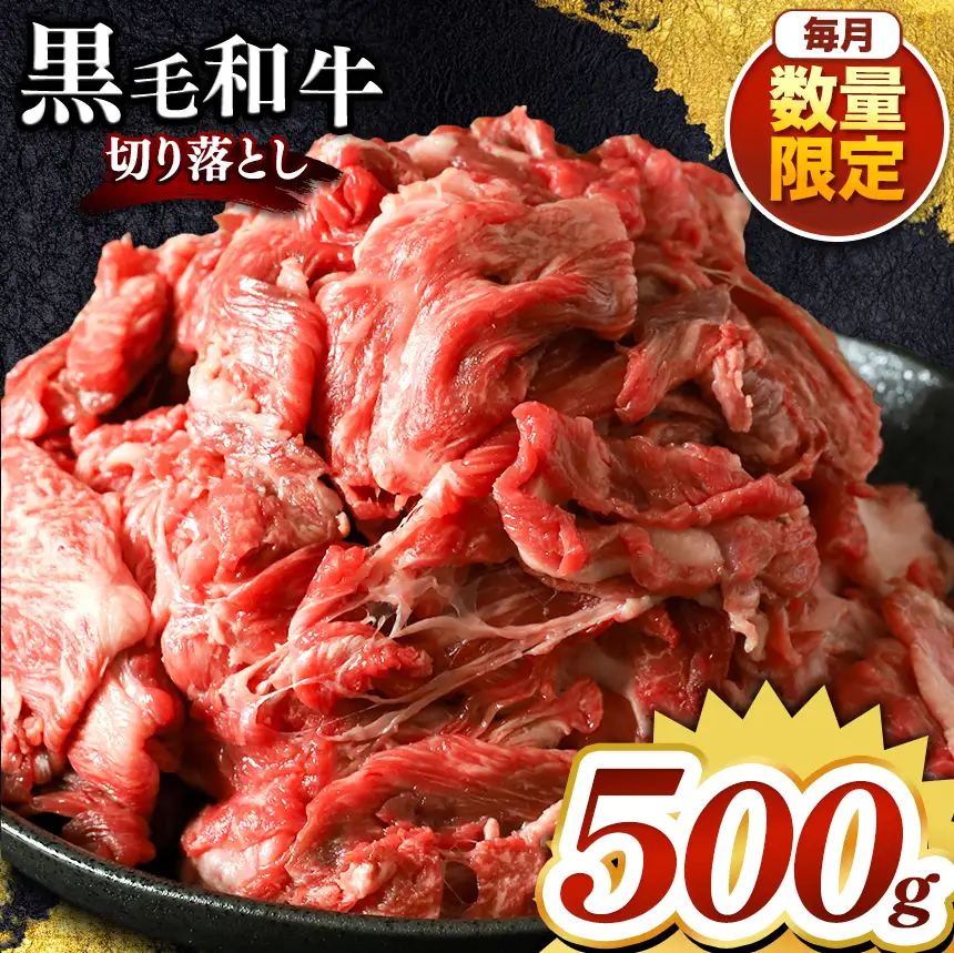 栃木県産 黒毛和牛 切り落とし 500g