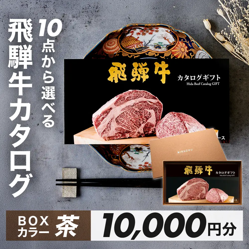 【BOXカラー 茶】選べる飛騨牛！カタログギフト 10000円分【22-45【2】】